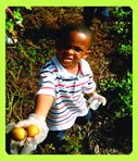 Community Gardens
