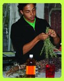 Youth Employment & Training Program