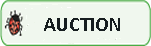 Auction Form