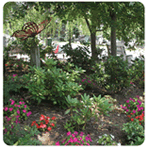 Camden Children's Garden